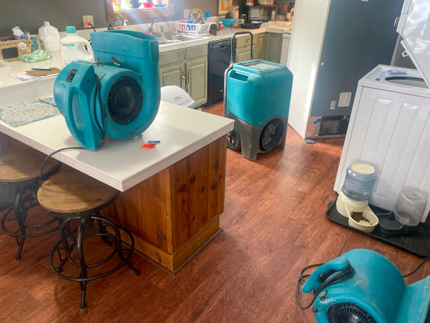 Best Water damage restoration services  in Fallston, MD
