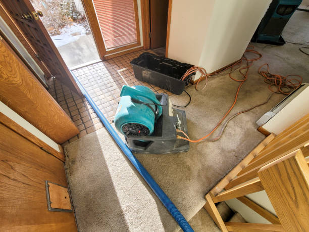 Best Water damage cleanup near me  in Fallston, MD