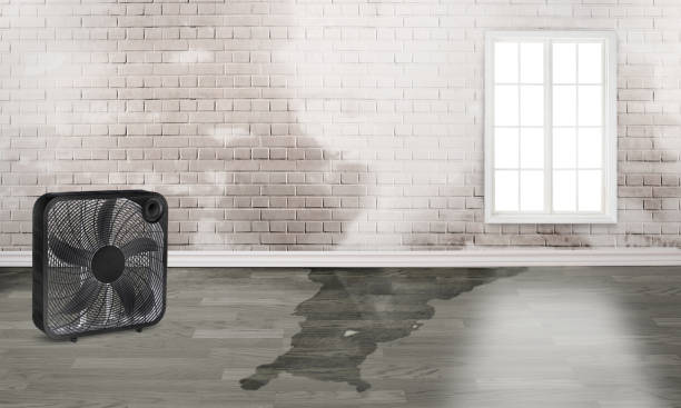  Fallston, MD Water damage restoration Pros