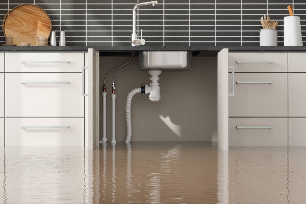 Best Mold removal after water damage  in Fallston, MD