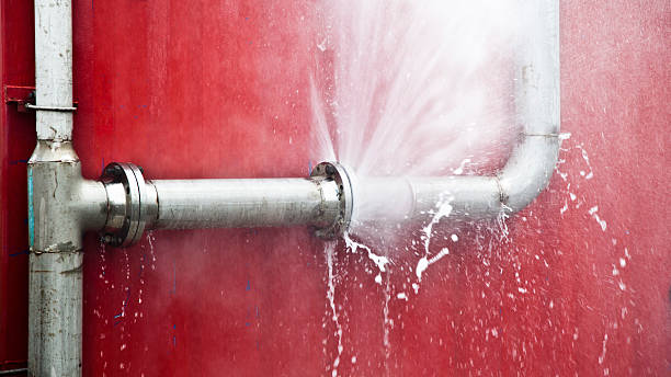 Best Flood restoration services  in Fallston, MD